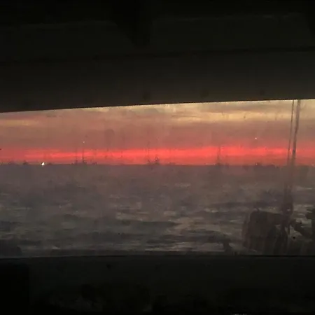 Live On The Sea * Faro